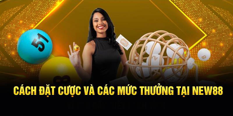Cách đặt cược và các mức thưởng tại NEW88