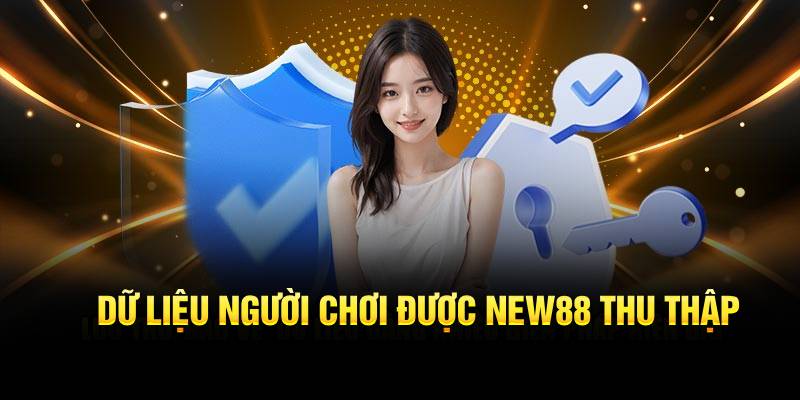 Dữ liệu người chơi được NEW88 thu thập