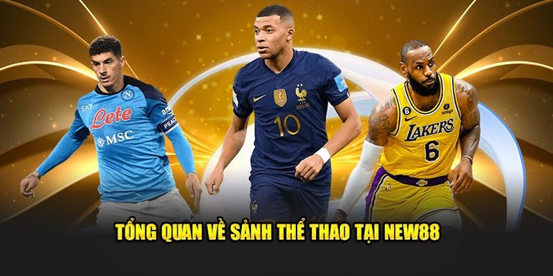 Thể thao NEW88