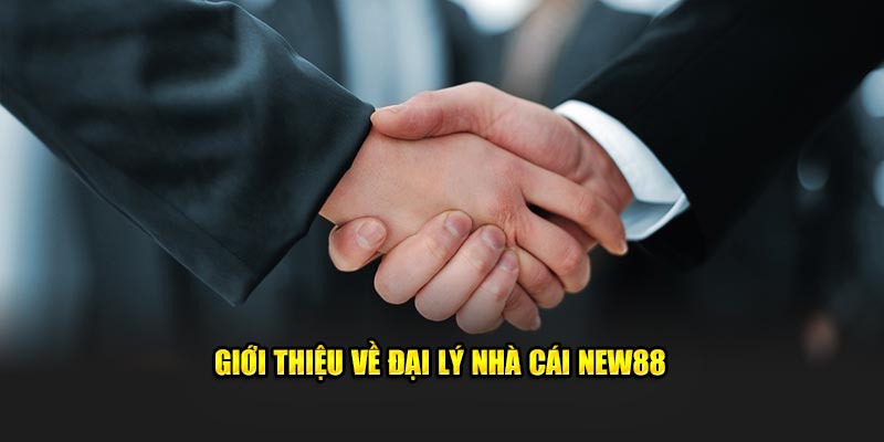 Giới thiệu về đại lý nhà cái New88