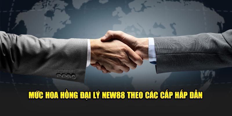 Mức hoa hồng đại lý New88 theo các cấp hấp dẫn
