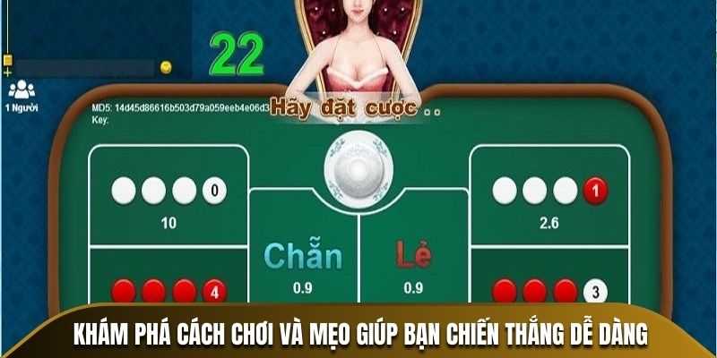 Khám phá cách chơi và mẹo giúp bạn chiến thắng dễ dàng
