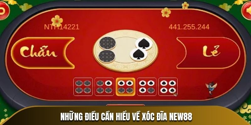 Những điều cần hiểu về Xóc Đĩa New88